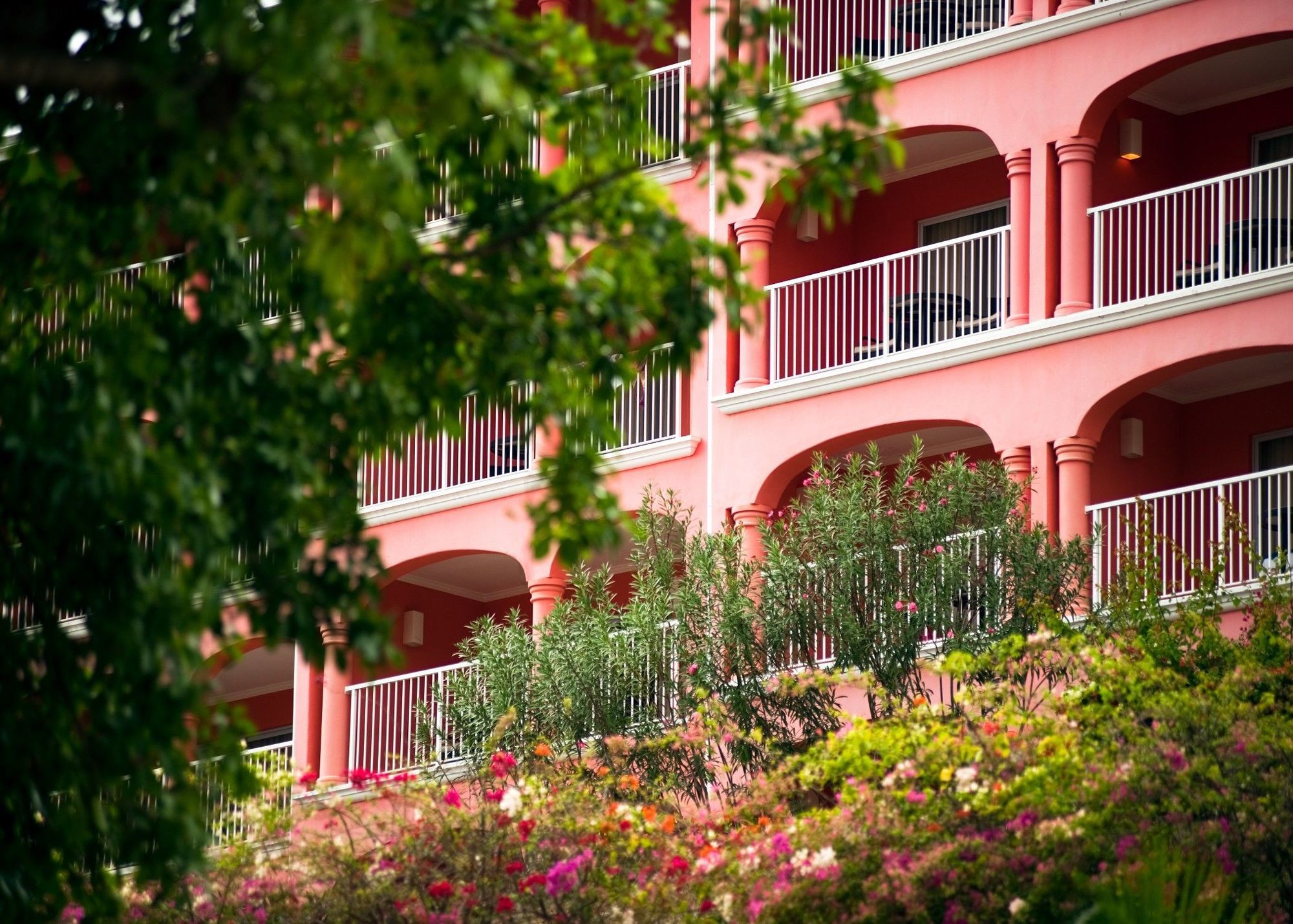 Secrets Saint Lucia Resort & Spa (Adults Only) Gros Islet Dış mekan fotoğraf